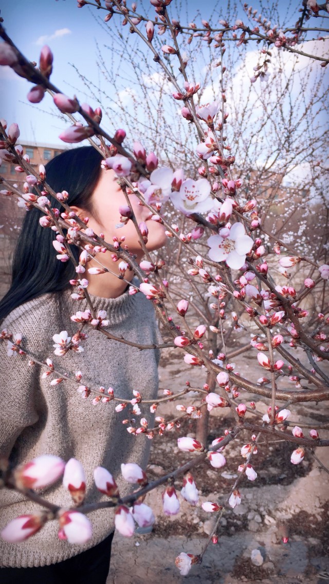 【前行】第109期:“白浅”上仙醉卧信院“十里桃林”