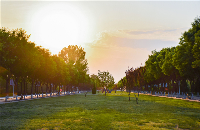 【毕业季】温情毕业季 情系明信片——大数据学院、信息工程学院“青春不散”记忆明信片活动