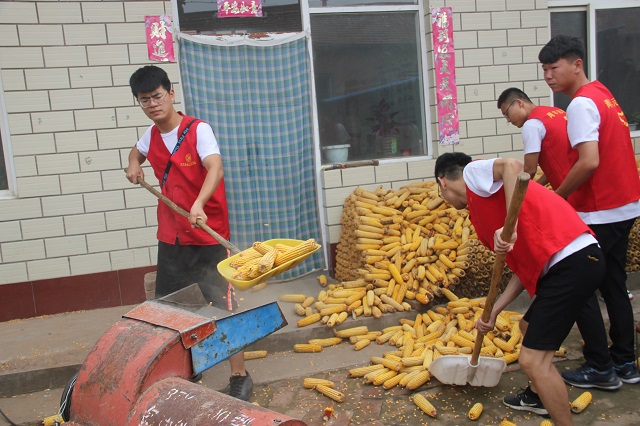 【三下乡】七月六谷香 农家齐欢畅——远景学院“改革开放四十周年调研实践团”三下乡之行