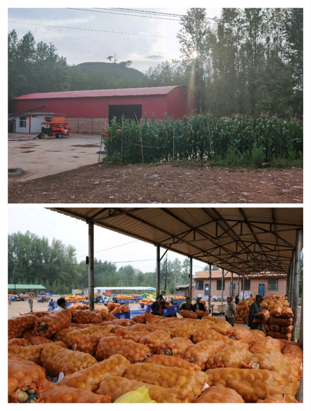 【暑期社会实践】赴青春益行 探转型“聚”变