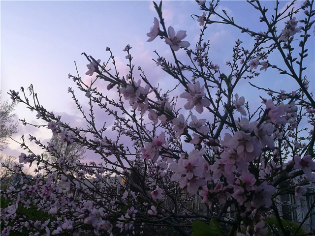 【完满班级】德智体的全面 升级 ——淬炼商学院三月完满班级主题活动（二十五）