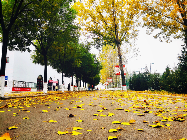 前行第175期:信院美好与你环环相扣