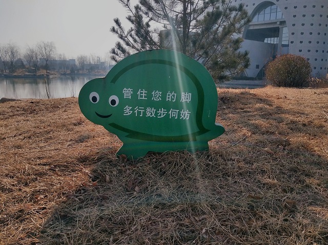 前行第150期:春风抚柳岸 绿意洒自然