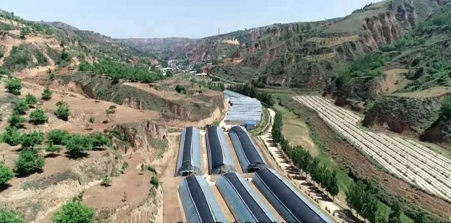 【三下乡】情系乡村热土 力行振兴使命