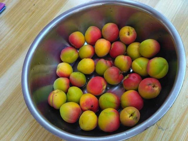 【三下乡】诚天性之潜感  顾童心兮如疑――远景学院“三下乡”社会实践活动（四）