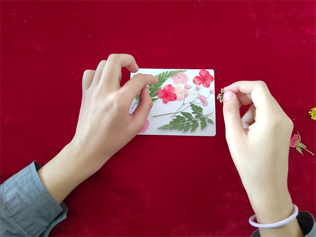 欢聚金秋迎新生 激扬青春颂梦想——“诗情画意，迎新聚力”经济与管理学院迎新特别活动