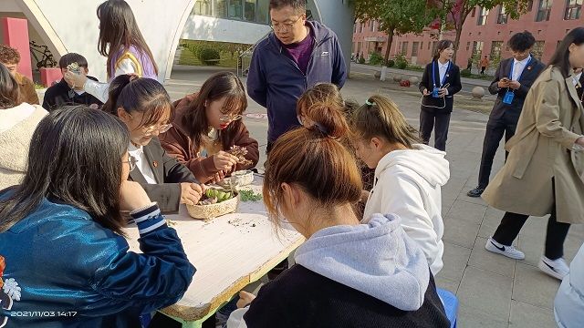 【社团快讯】爱上多肉 时间不语——食品与环境学院“爱生活 爱上多肉”多肉盆景组盆活动