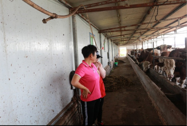 【三下乡】美食十二配郎酒  “农谷”养殖会“北斗”——2017环科系暑期“北斗星”公益实践团南阳村之行（六）