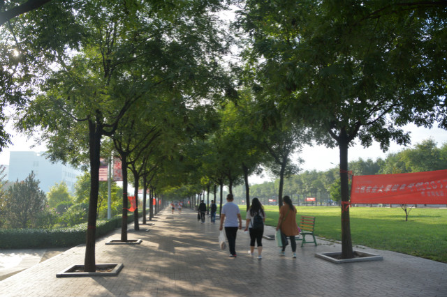 【迎新纪实】不一样的视角下 他们与信院相遇相知