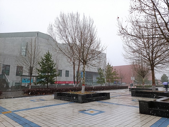 【完满班级】艺行青春 共盼春来——大数据学院、信息工程学院计科2010班完满班级活动