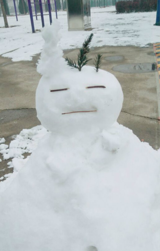 【完满班级】雪落信院 凝眸处 情牵万里——国贸1605班举办“缤纷世界 挚爱纯白”冰雪世界活动