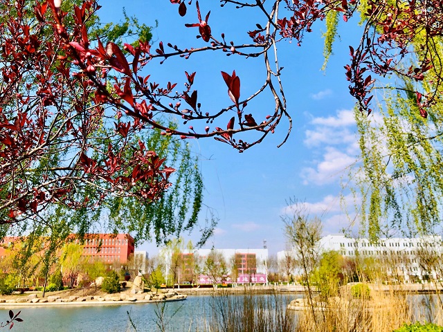 前行第177期:花开右岸 春抚信院