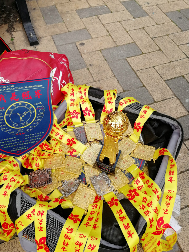闪光的信院第235期:我校武术队荣获“平凡杯”第十七届香港国际武术节多项奖项