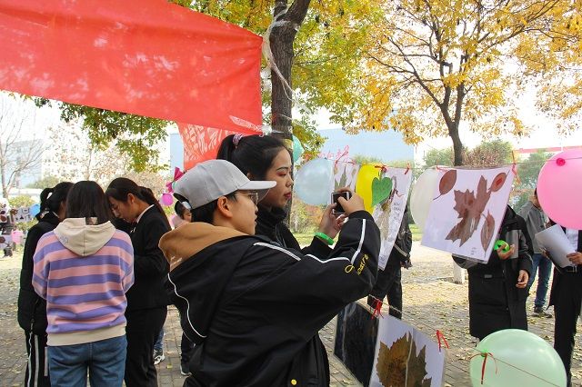 一叶诉心思 树叶原创情书大赛