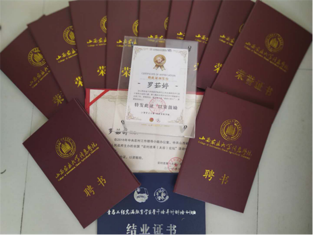 学习标杆•罗茹婷:努力的样子自带光环