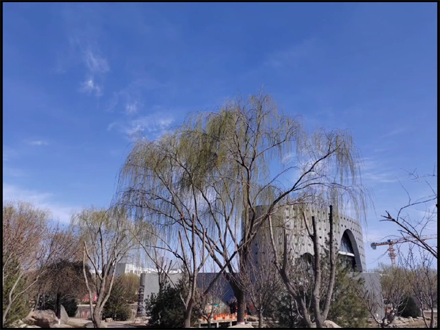 疫去花开 向阳而生——淬炼·国际商学院第一届“藏住春天·vlog”短视频记录活动
