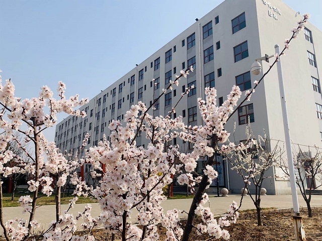 前行第176期：春暖花开 与你共赏书院美景