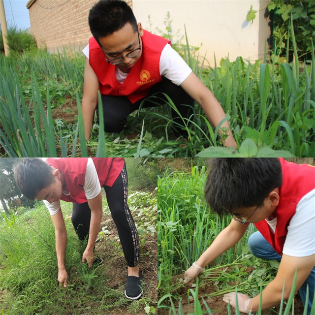 【三下乡】君问归期未有期 心念乡村淳朴情——“机时予”志愿者服务队圆满归程