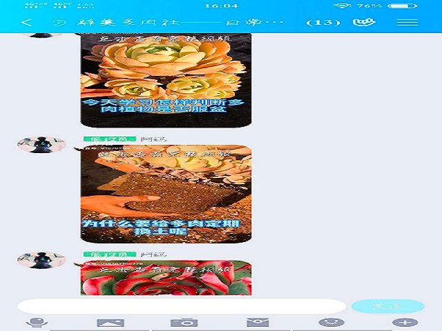 【社团快讯】芽苞初放 知肉养情——醉美多肉社独具慧眼 多肉推送