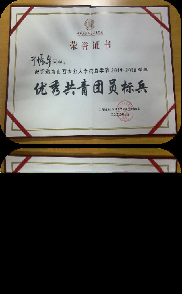 工作标兵•宁振宇:淬心炼行 铸力完满