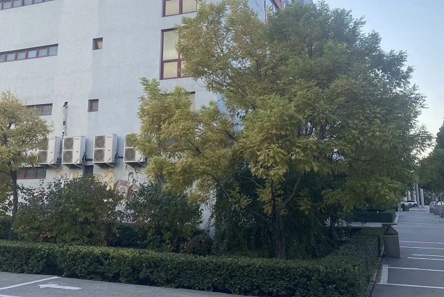 【完满团支部】光影递美意 金秋绽芳华——食品与环境学院园林2202班完满团支部活动
