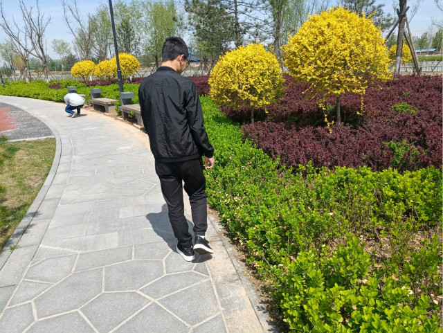 【完满班级】赏春色 共成长——网络工程1702班“寻龙尺”班级趣味活动