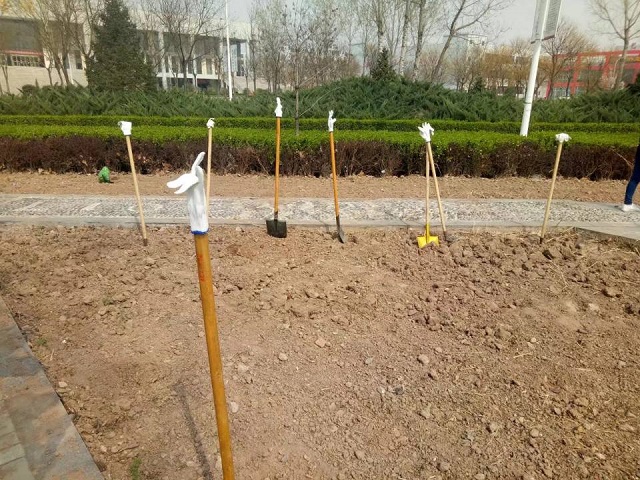 【完满班级】专业知识碰撞实践 园林之花绽放信院——环科系园林1601班“园林学子的汗水”主题活动