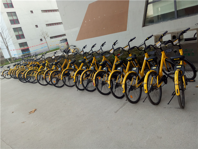 【完满班级】怀揣善良 爱暖寒冬——淬炼商学院“善”行青春主题活动(四十四)