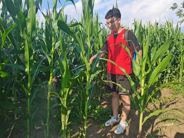 【三下乡】“三”下乡 “达”初心 乡村振兴谱新篇