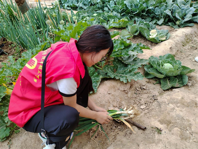 【三下乡】志愿服务进乡村 浓浓关怀老人情 ——汇“侯”研商 淬炼·国际商学院青年益行乡村振兴促进团