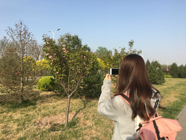 【完满班级】走进青春 拥抱阳光——淬炼商学院四月完满班级主题活动(三十四)