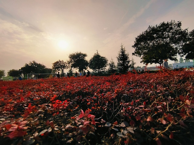 【完满班级】时光荏苒 积极向上——经济与管理学院十月完满班级纪实（八）