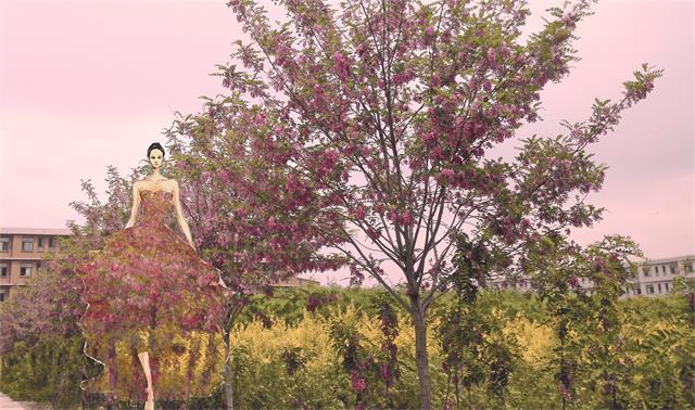 【前行】第31期：校园换新衣  女神带你赏美景