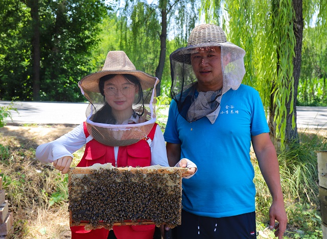 【三下乡】与小李经理畅谈甜“蜜”太谷 “蜂”韵乡村 ——大数据学院、信息工程学院“智·惠农”太谷农高区产业振兴实践团