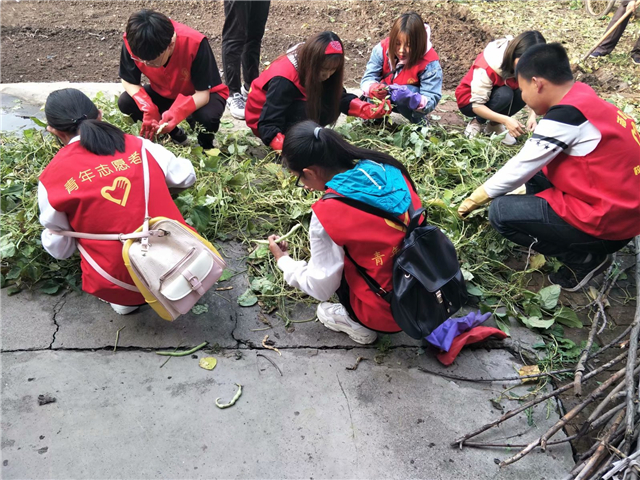 暖心工程第382期:情暖金谷·最美夕阳爱心助老活动