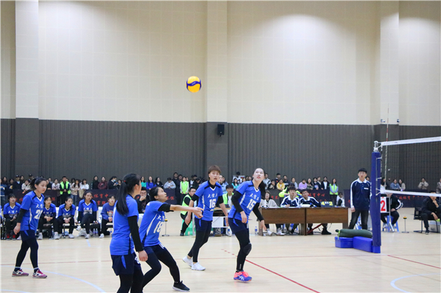 第八届“至强杯”排球联赛圆满落幕