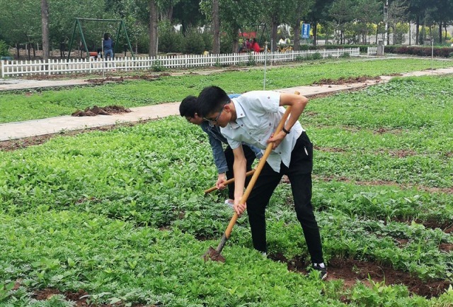 【缤纷百团】QQ农场叮咚上线 雨后体味百花之乡 ——开心农场协会“植株移栽和间苗”活动