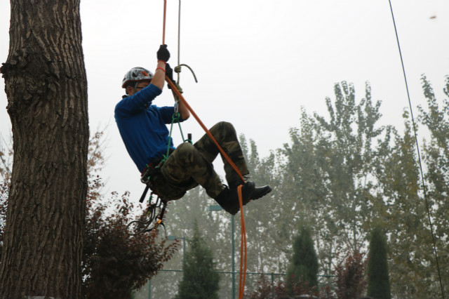 山西高校首次攀树大赛，盛况空前信院创造