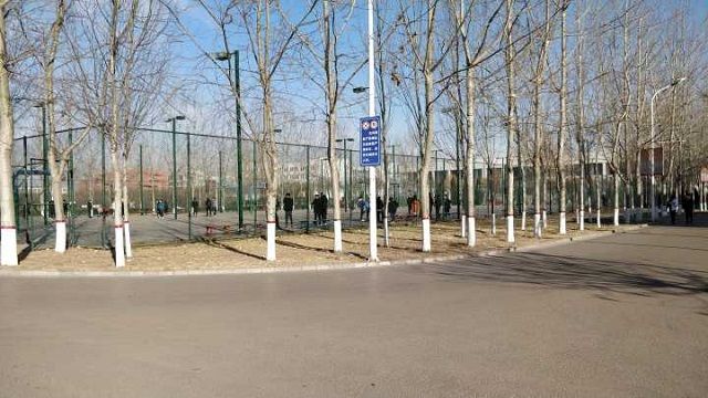 【完满班级】让我做你的眼——食品与环境学院生技1701班举办完满活动