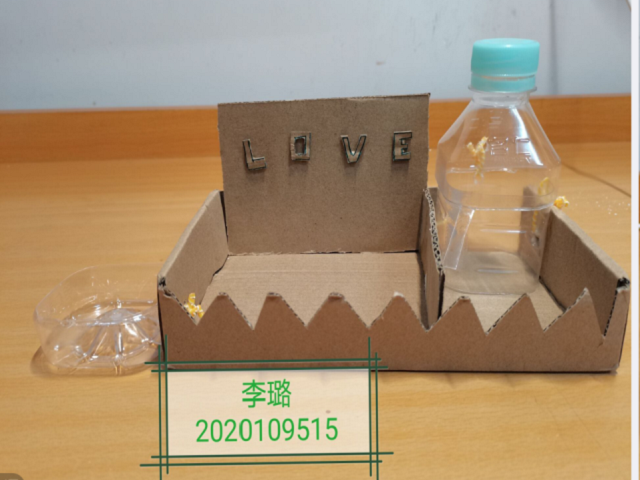 变废为宝 美化家园——大数据学院、信息工程学院计科2005班完满班级活动