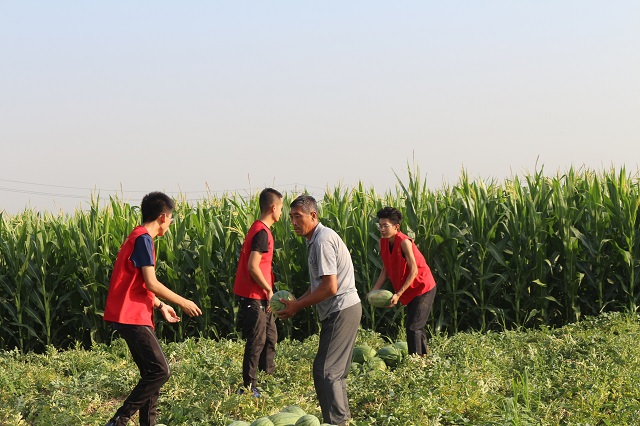 【三下乡】信院学子在基层：2017暑期“三下乡”社会实践活动圆满结束