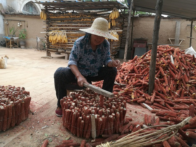 探望孤寡老人 用陪伴与孤独“细语”——远景学院“青春心向党 建功新时代”三下乡之行