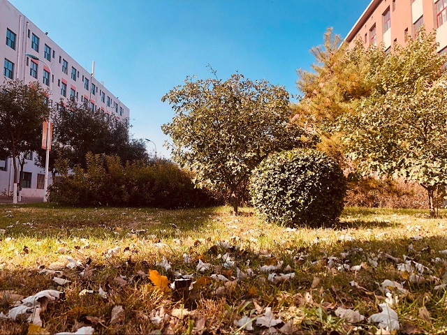 【完满班级】捡拾落叶 洁净校园——食品与环境学院生技1601班完满班级活动