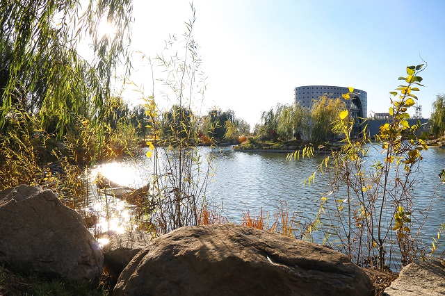 闪光的信院第253期：华丽绽放 舞姿飞扬 点亮梦想 这是“信院舞娘”龙起璞的故事。