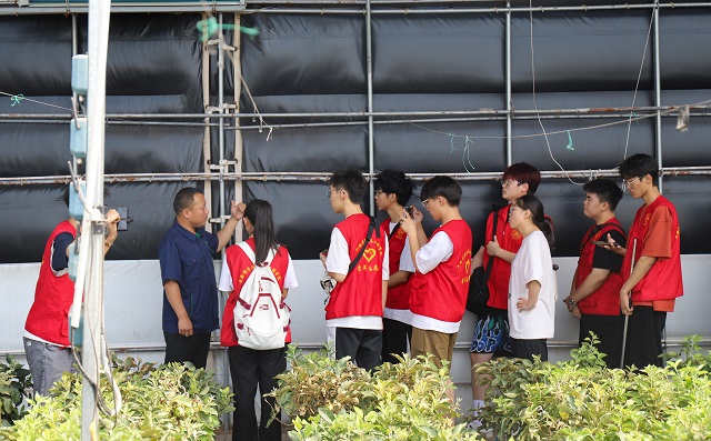 【三下乡】未来农业新模式 一座神奇的“植物工厂”——大数据学院、信息工程学院“智·惠农”太谷农高区产业振兴实践团