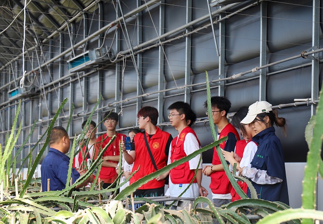 【三下乡】未来农业新模式 一座神奇的“植物工厂”——大数据学院、信息工程学院“智·惠农”太谷农高区产业振兴实践团