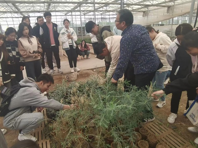 【完满团支部】金秋十月 绿美实践——食品与环境学院园林2101班 园林2102班完满团支部活动