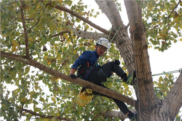 【信院力量·体联】学生体育联合会十月活动回顾