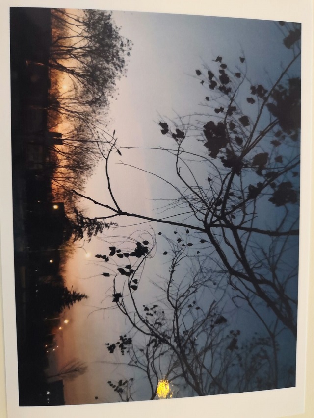 定格信院 寄语美好