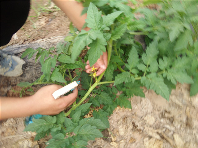 【三下乡】志愿者风采：每一段清浅时光都应被温柔以待